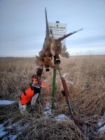 IMG_20250110_163143~2.jpg IMG_20250110_163143~2.jpg