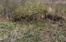 IMG_8689.jpeg IMG_8689.jpeg