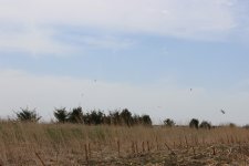IMG_7327.JPG