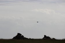 IMG_7466.JPG