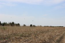 IMG_7328.JPG IMG_7328.JPG