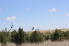 IMG_7610.JPG IMG_7610.JPG