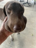 IMG_5254.jpeg