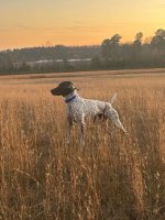 IMG_3082.jpeg