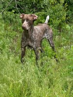 IMG_3819.jpeg