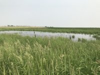 IMG_0391.jpeg
