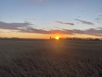 IMG_0823.jpg