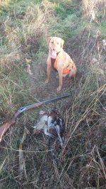 20171020_083347.jpg