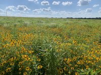 IMG_9318.jpeg IMG_9318.jpeg