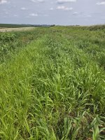 upper plot 7-12.jpg upper plot 7-12.jpg