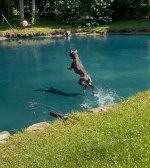 IMG_4463.jpeg