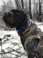 Duck hunting.jpg