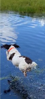 thumbnail_IMG_3969.jpg