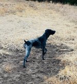 IMG_1614.jpeg