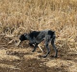 IMG_1613.jpeg