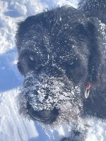 IMG_3672.jpeg