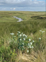 Screenshot 2025-08-11 210523.png