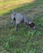 IMG_4732.jpeg