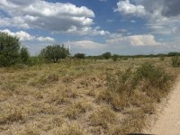IMG_4241.jpeg