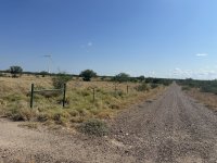 IMG_4223.jpeg