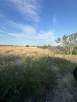 IMG_4219.jpeg