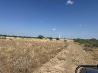 IMG_4224.jpeg