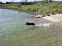 IMG_1205.jpeg