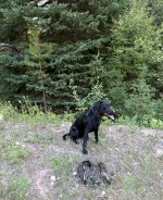 IMG_4687.jpeg