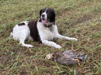 IMG_2078.jpeg