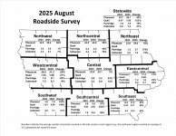 2025survey1.jpg