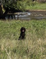 IMG_4873.jpeg