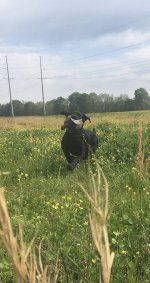 IMG_0180.jpeg