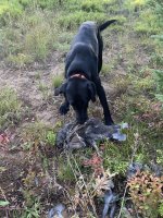 IMG_6847.jpeg