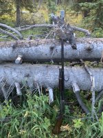 IMG_6848.jpeg
