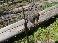 IMG_6773.jpeg