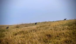 IMG_20250918_130023~2.jpg