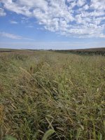 9-21-25 3.jpg 9-21-25 3.jpg