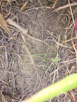 9-21-25 4.jpg 9-21-25 4.jpg