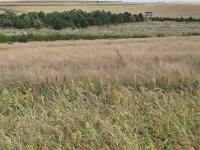 9-21-25-2.jpg 9-21-25-2.jpg