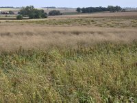 9-21-25 1.jpg 9-21-25 1.jpg