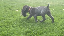 IMG_6127.jpeg