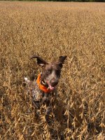 IMG_5692.jpeg