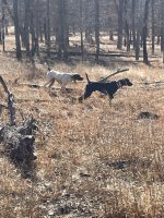 IMG_8475.jpeg