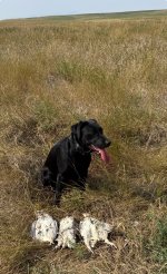 IMG_4776.jpeg