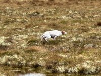 IMG_9547.jpeg