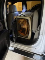 Gunner Kennel.jpg