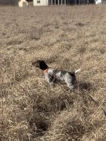IMG_2061.jpeg