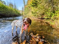 PXL_20251004_203400174.MP~2.jpg PXL_20251004_203400174.MP~2.jpg