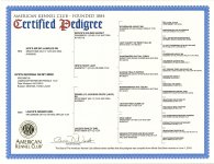 HPKs Georgia On My Mind.jpg