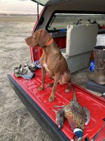 IMG_1659.jpeg